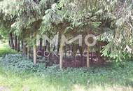 Großes Grundstück mit Fischteich und Badeteich, Erholungsanlage, Freizeitparadies mit viel Potenzial