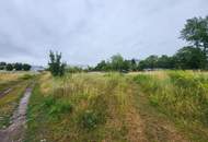 Baugrundstück Wels-Ost Ginzkeystraße