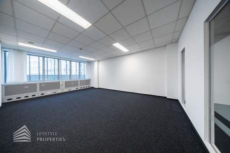 Modernes 6-Zimmer Büro mit Terrasse! Nähe Schwarzenbergplatz, Gewerbeobjekt-miete, 4.935,36,€, 1030 Wien 3., Landstraße
