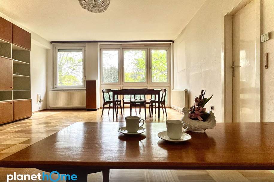Rohdiamant in Top-Lage mit Grünblick: Fix&Flip oder selbst Wohnen, Wohnung-kauf, 430.000,€, 1190 Wien 19., Döbling