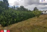 Attraktives Baugrundstück im Herzen von Seyring – Ideal für Investoren, Bauträger und private Immobilienliebhaber