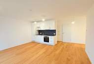 Tolle Wohnung statt Hinterholz, in deckengekühlter Ruhelage ca. 53m2 (weitere 2 Zimmer mit Balkon frei), Stellplatz möglich und erwünscht!!