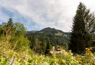 Ankommen und Ausspannen auf 950 m² Naturglück