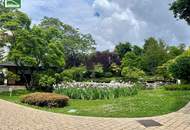 Altbauwohnung direkt neben dem wunderschönen Setagayapark! Gutes Preis-Leistungs-Verhältnis! Sehr gute Anbindung ins Stadtzentrum! Saniertes Altbau-Zinshaus. - WOHNTRAUM