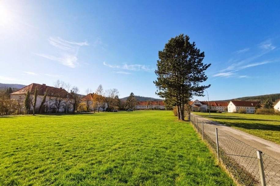Grundstück Nr. 5 - 815 m² - Wunderschönes ebenes Baugrundstück in sonniger und ruhiger Lage - ohne Bauzwang!, Grund und Boden-kauf, 128.770,€, 2630 Neunkirchen