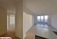 SILVESTER MIT FERNBLICK