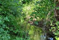 WOHNEN IM NATURPARADIES AM WALDRAND MIT MÖGLICHKEIT AUF ZWEI WOHNEINHEITEN - BESTE FERIEN- ODER ZWEITWOHNSITZEIGNUNG MIT KLEINEM BACH, OBSTBÄUMEN &amp; WALD - NICHT VOM HOCHWASSER BETROFFEN