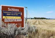 Kauf oder Miete: Grundstück an der A6- Potzneusiedl