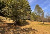 Baugrundstück in Bestlage – Top-Preis in Fernitz-Mellach!