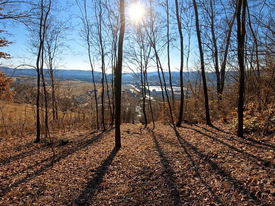 Natur vor der Haustür – Grundstück mit Weitblick und Grünlandanschluss