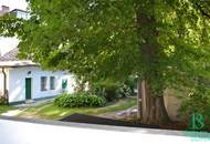 Blick ins Grüne! Zentrumsnahe Loggia-Wohnung - WG geeignet! Garagenplatz!