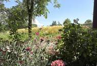 Loftwohnung mit Garten, Terrasse und Schwimmteich : naturnah und außergewöhnlich.