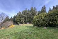Sanierungsbedürftiger Wohntraum inmitten von Wiesen und Wald!