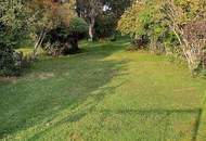 Grosses Grundstück in Gänserndorf Süd Nähe Wien