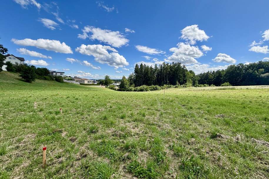 Schöne Baugrundstücke "vor den Toren von Freistadt", Grund und Boden-kauf, 110.925,€, 4240 Freistadt
