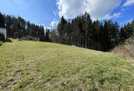 Großzügiger, sonniger Baugrund in Waldrandlage mit toller Aussicht Nähe Weiz - voll erschlossen!