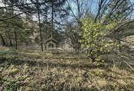 ZWICHEN WALD UND WEITBLICK – ein Bungalow, der auf Ihre Handschrift wartet1