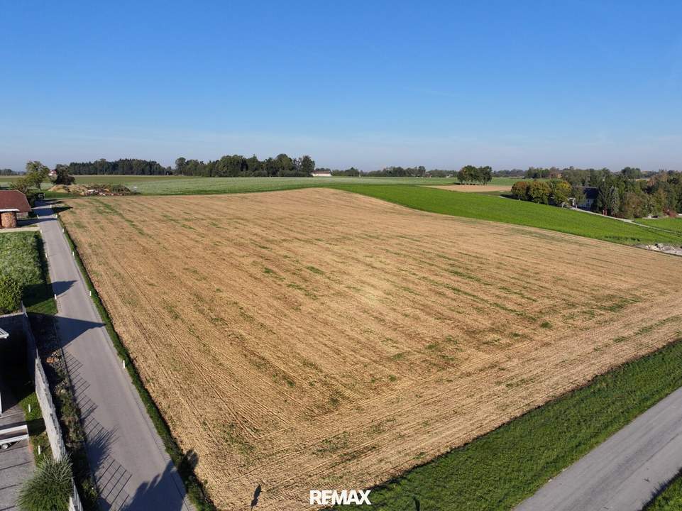 Erweiterungsmöglichkeit: Großes Betriebsbaugrundstück in 4600 Thalheim bei Wels – Top Lage!