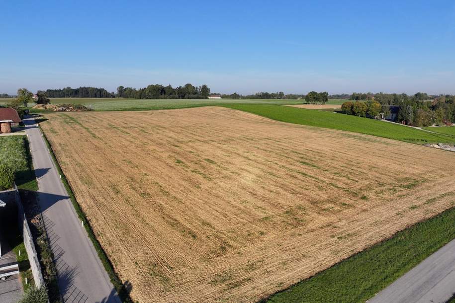 Erweiterungsmöglichkeit: Großes Betriebsbaugrundstück in 4600 Thalheim bei Wels – Top Lage!, Grund und Boden-kauf, 1.714.176,€, 4600 Wels-Land