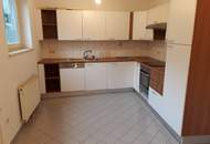 Terrassenwohnung - Klosterneuburg