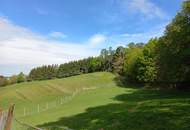 Hirschgehege - eingebettet in wunderschöner ruhiger Aussichtslage !