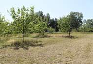 "Bauland Sondergebiet für Gastro oder Freizeit!"