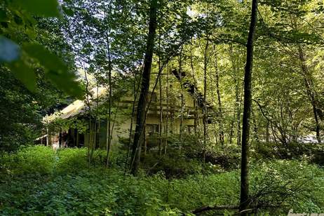Natur, Wasser & Potenzial – Ehemalige FISCHZUCHT in ruhiger Alleinlage, Haus-kauf, 362.000,€, 3681 Melk
