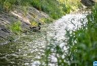 Städtischer Luxus, Naturnahe Ruhe: LIESING GARDENS vereint beides