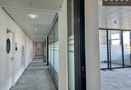 + + + WBS 7 + + + MYHIVE AM WIENERBERG + + +