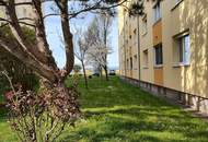 3 Zimmer + Küche + Lift + Loggia