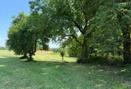 Sacherl in Alleinlage - mit 5000 m² Obstbaumwiese und Wald