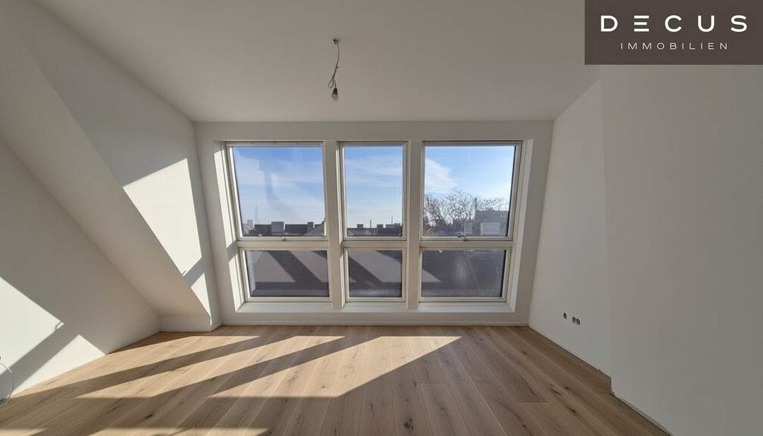 | DG AUSBAU | HELLE RÄUME | FREIFLÄCHEN