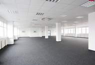 Lagerhalle 650 m2 mit Büro 300 m2 Kombination südlich von Wien, in Wr. Neudorf