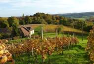 IN SLOWENIEN!! Authentisches Kellerstöckl mit Weinberg in Slowenien!