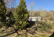 Mehr Ruhe - mehr Natur - mehr Leben – Zuhause im Einklang mit der Natur