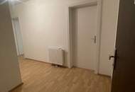 Erdgeschoss 2-ZImmer sanierte Altbauwohnung - nur 100m von Donau entfernt