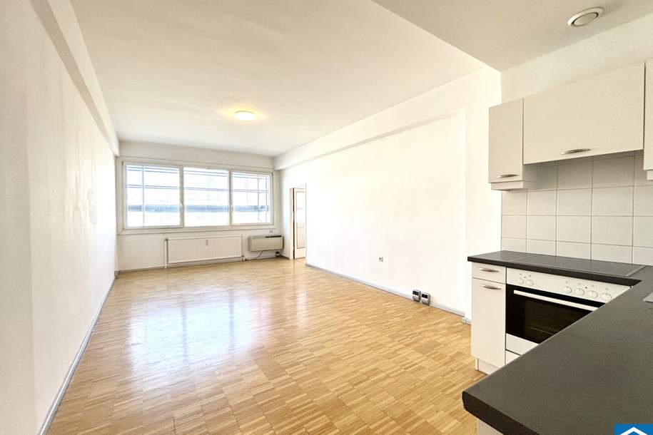 Laurenzi am Fluss, Wohnung-kauf, 449.000,€, 1010 Wien 1., Innere Stadt