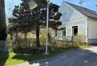 kleines leistbares Haus mit verträumtem Garten möchte neu erstrahlen
