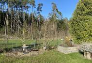Provisionsfrei - Schönes Freizeitgrundstück mit Obstgarten