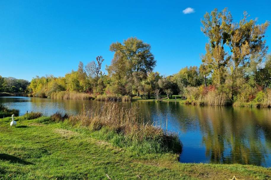 TRAUMLAGE. NÄHE U2 DONAUSPITAL! BAUGRUND DIREKT AM MÜHLWASSER., Grund und Boden-kauf, 370.000,€, 1220 Wien 22., Donaustadt