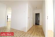 Top Wohnung im Biesenfeld