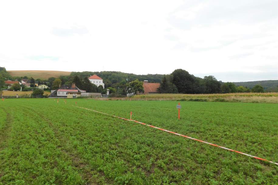 Traumhaftes Bauträgergrundstück im Weinviertel in ländlicher Ruhelage, Grund und Boden-kauf, 285.480,€, 2124 Mistelbach