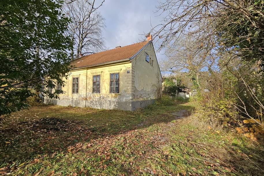 Traumhafte Liegenschaft in Pitten – Großzügiges Bauland mit charmantem Altbestand, Haus-kauf, 495.000,€, 2823 Neunkirchen