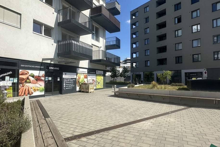 Moderne Gewerbefläche mit hoher Sichtbarkeit und flexibler Nutzung, Gewerbeobjekt-miete, 5.553,43,€, 1220 Wien 22., Donaustadt