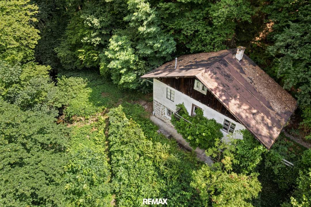 Grundstück am Dießenleitenbach – Naturidylle in Linz-Urfahr