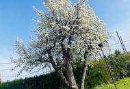 Ihr Grundstück für ganzjähriges Wohnen im Kleingarten