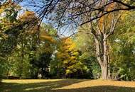 Neu saniert: Traum-Ruhelage: 2-Zimmer-Wohnung in Baden