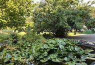 TOP-Preis! Sehr viel Platz im Haus und auch im traumhaften Garten