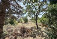 Haus im Grünen nahe der Metropole