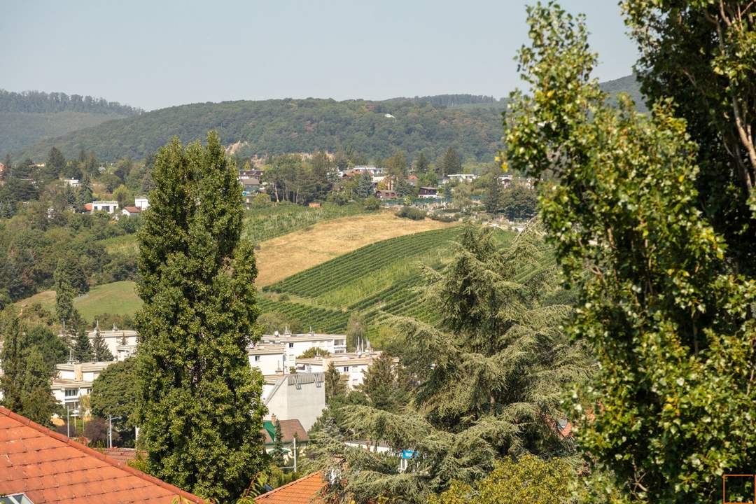 WEINBERGE und WIENBLICK: Schöner können Sie nicht wohnen!